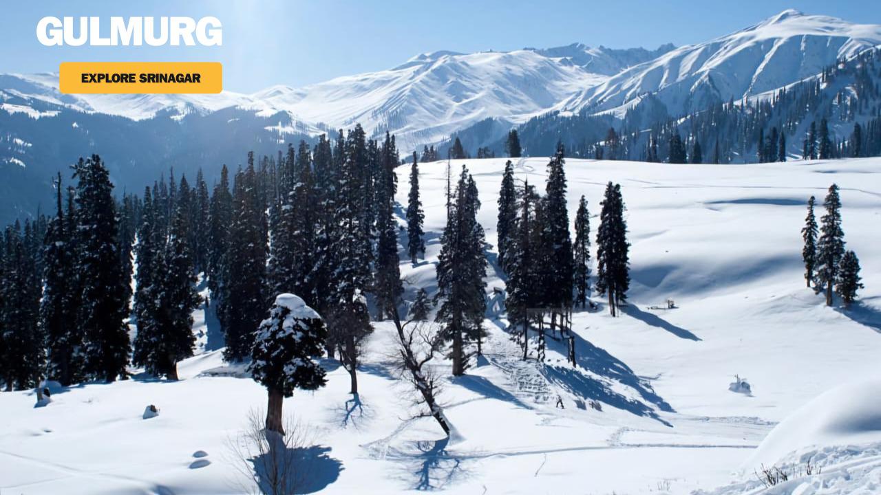 Gulmurg kashmir tour package with Kashmir Tour Wale